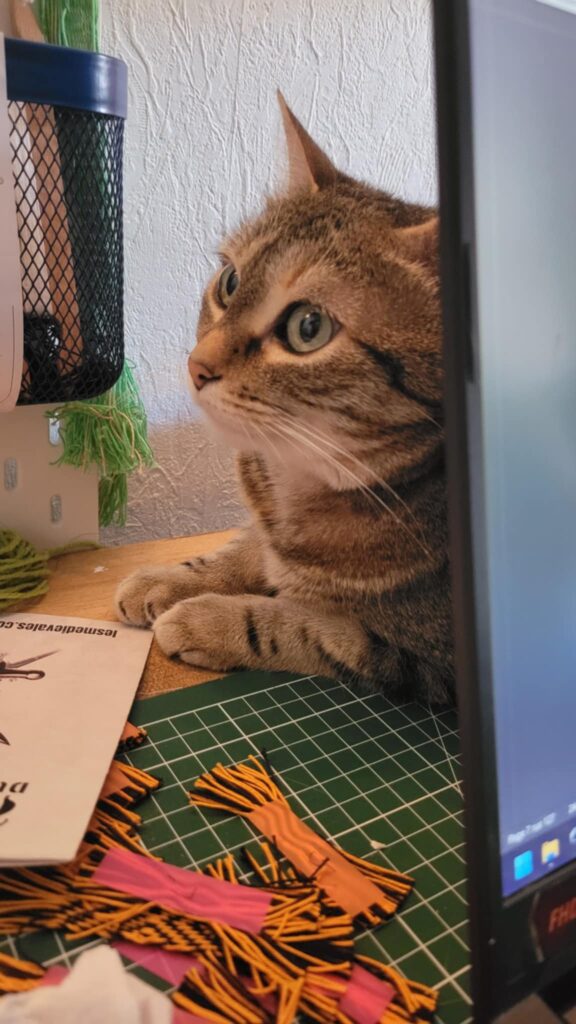 photo du soutien sans faille du chaton lors des périodes de rédaction