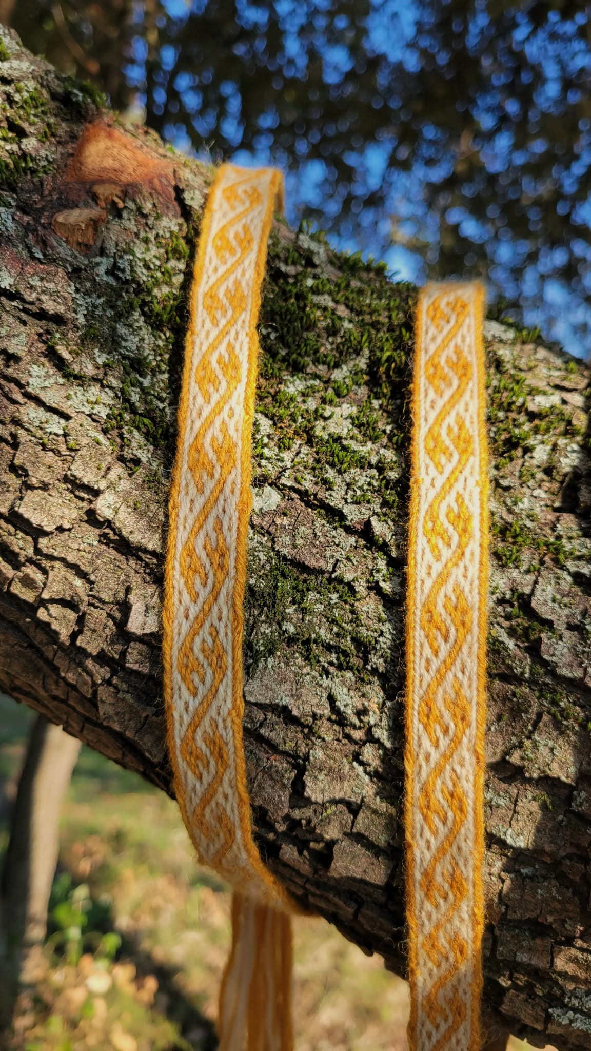 détails de la ceinture médiévale tissée aux cartes avec le motif des dragons de Dublin en jaune