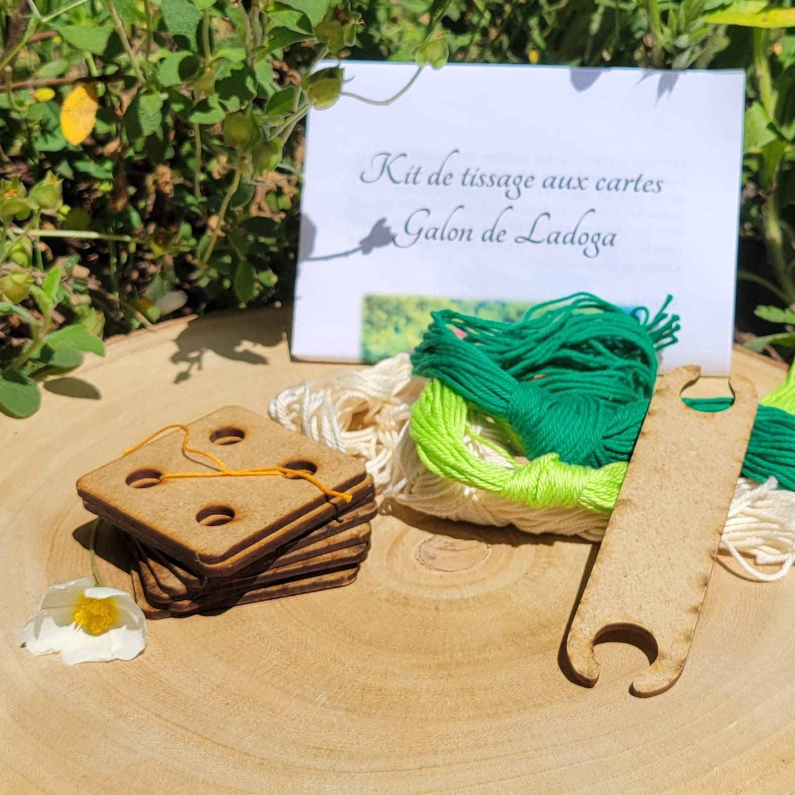 contenu du kit de tissage aux cartes du galon de Ladoga vert